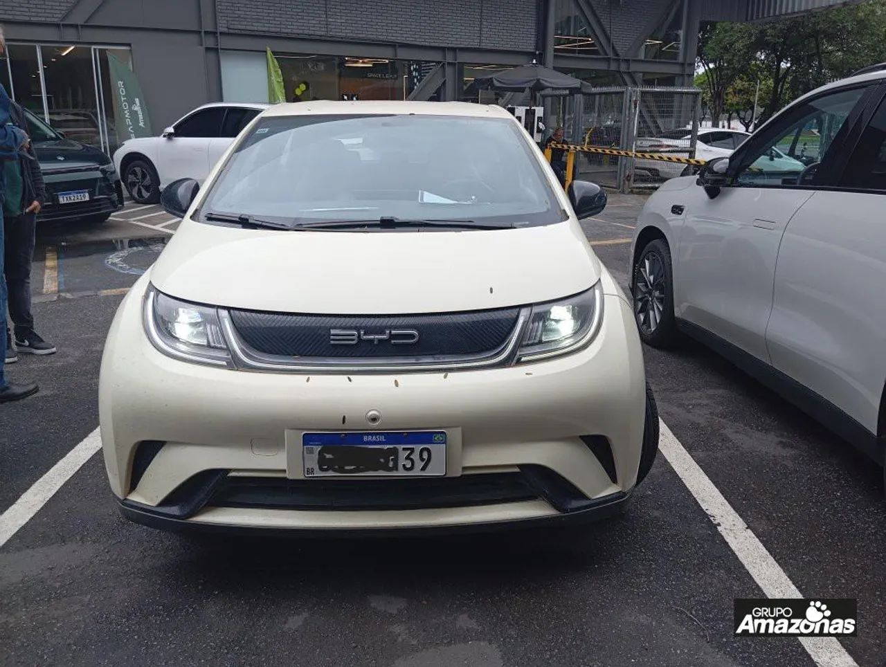 BYD Dolphin EV (Elétrico) 2024