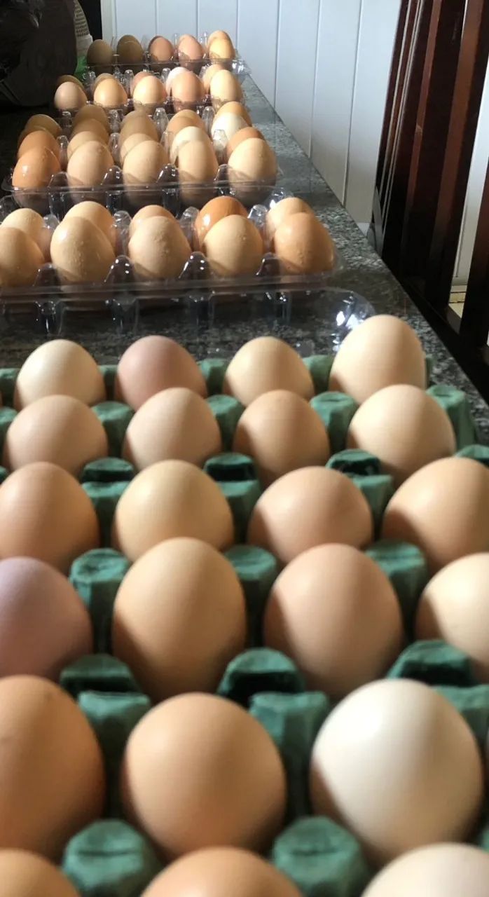 Ovos Caipira - Foto 2