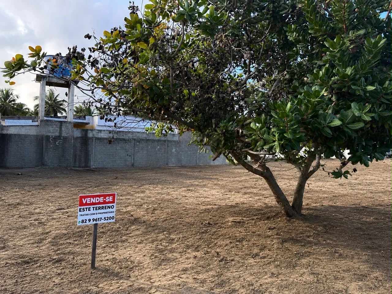 Terreno no peba ( pontal do peba) - Foto 2