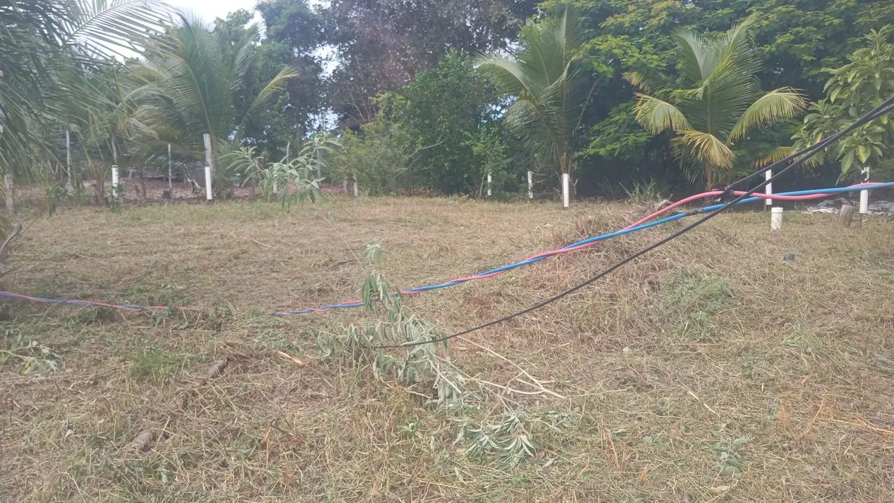 Terreno em Arembepe  - Foto 2