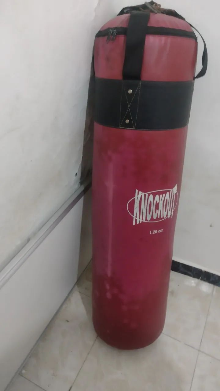 Saco de pancada profissional 