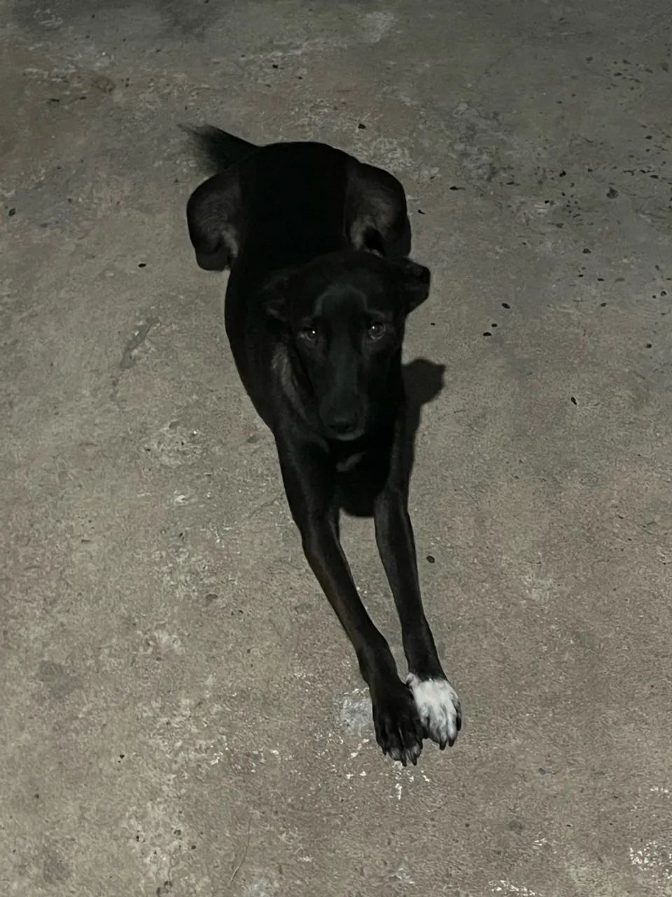 Doação  - Foto 2