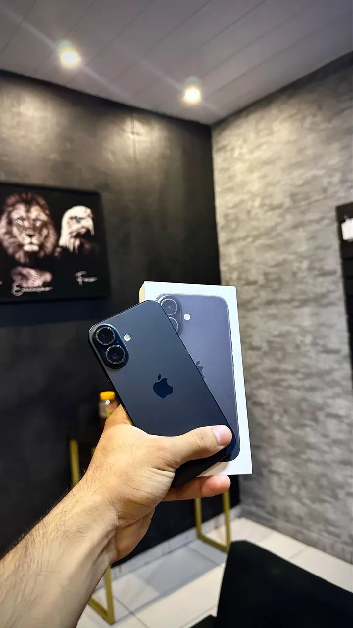 iPhone 16 256GB 100%
