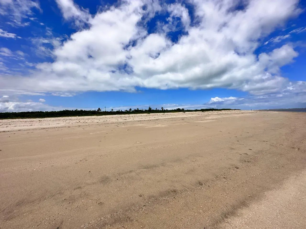 Japaratinga. Área com 8 hectares (80mil metros quadrados), Litoral Nortee - Foto 6