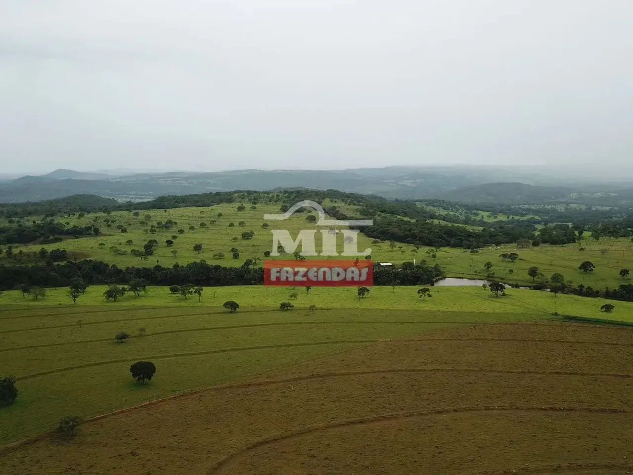 Fazenda 67 alqueires (324 hectares) Rianápolis - Go - Foto 3
