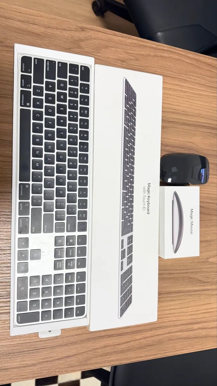 Magic Mouse Apple Touch ID + Magic Mouse 2 - Periféricos e