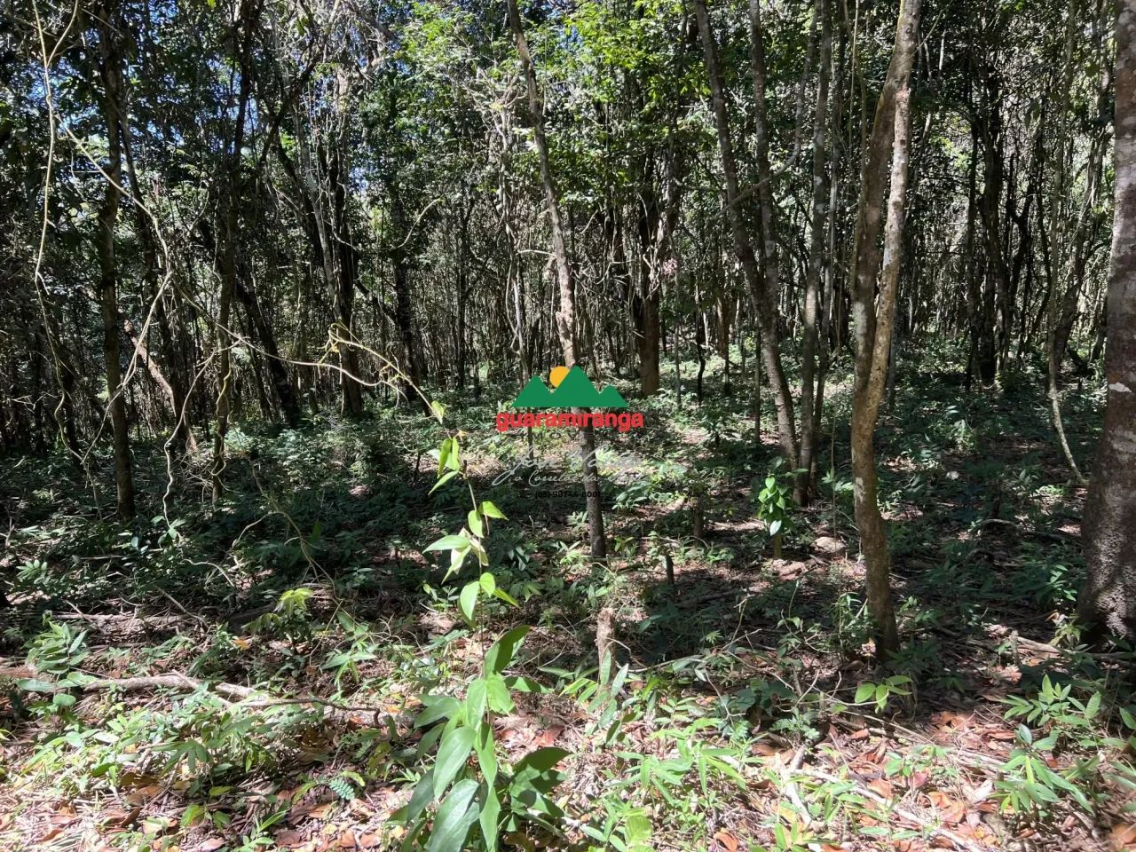 Terreno com vista panorâmica em Mulungu - Foto 5