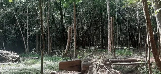 Um verdadeiro Paraíso! - Foto 2