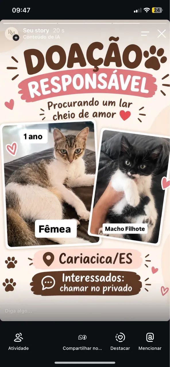 Doação Responsável 