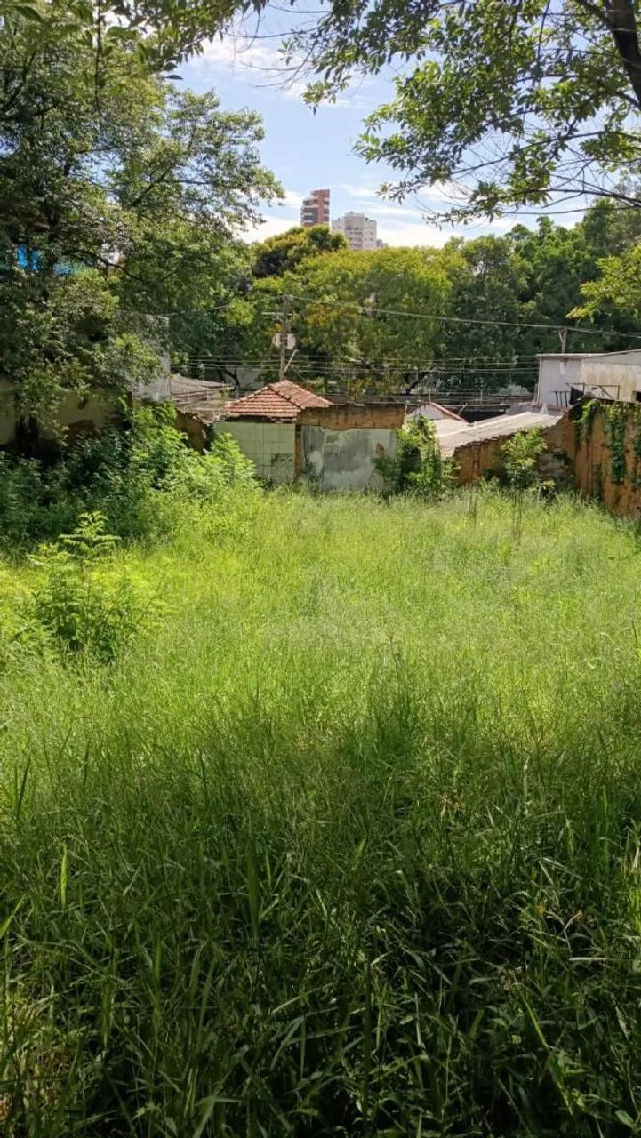 Limpeza de terrenos com Borgert Ser viço *