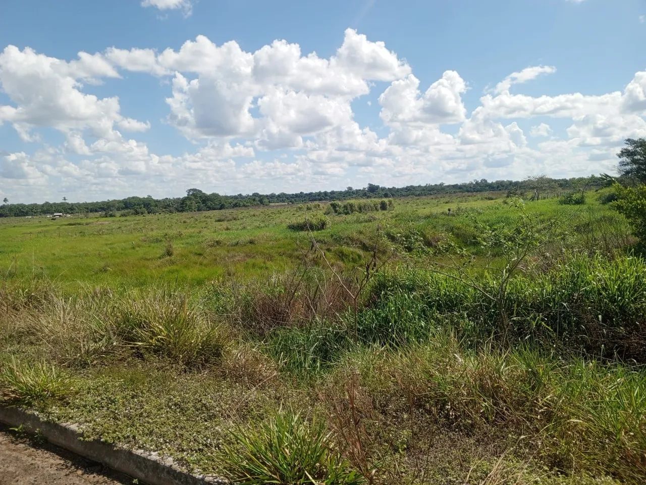 Excelente SITIO a venda seringueiras. - Foto 2