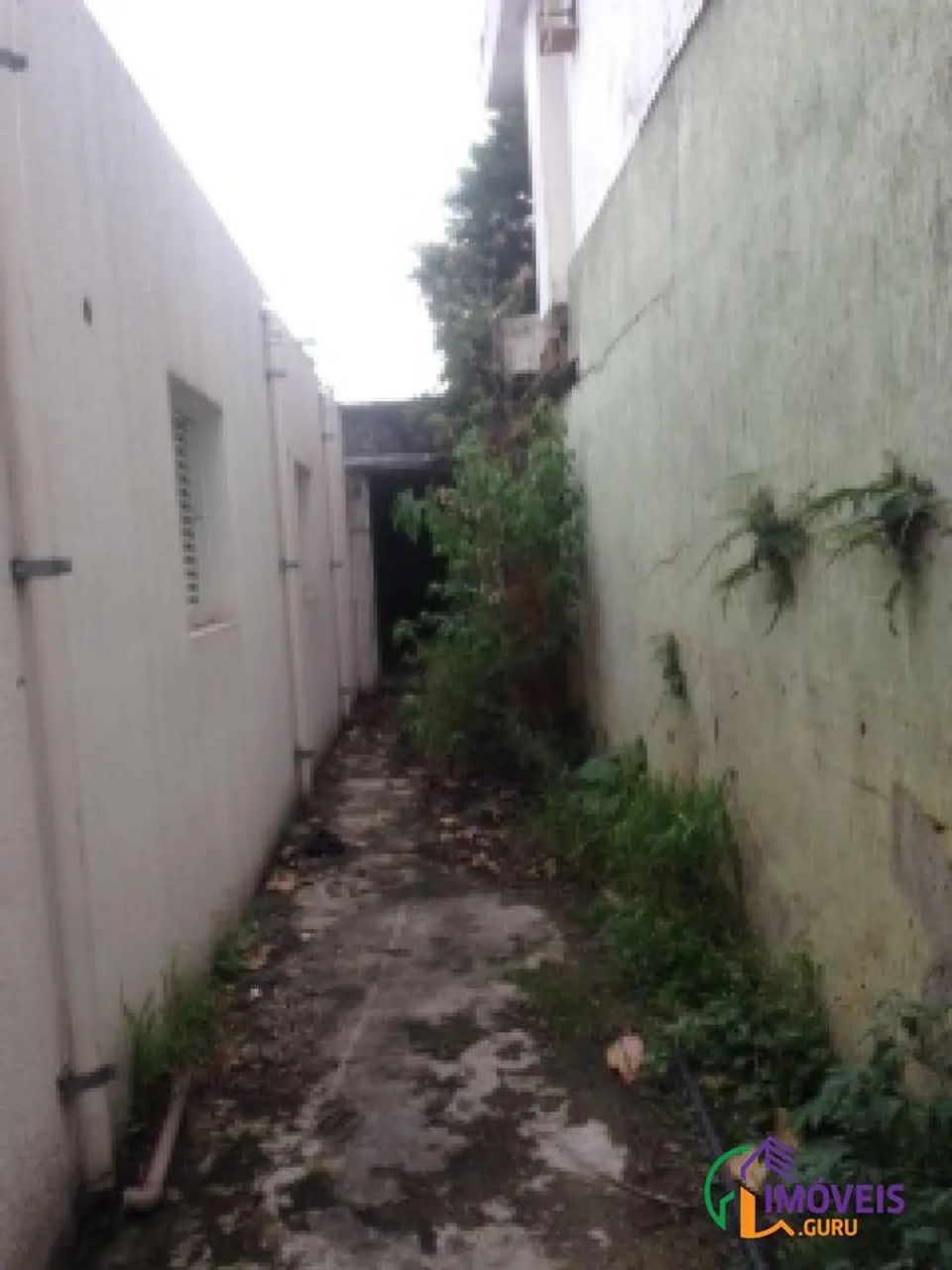 GALPÃO - VILA MASCOTE - SP - Foto 4