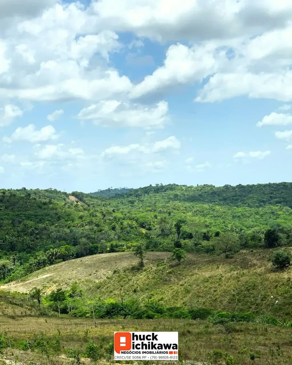 FAZENDA DE 1000 TAREFAS Umbaúba / Indiaroba - Foto 3