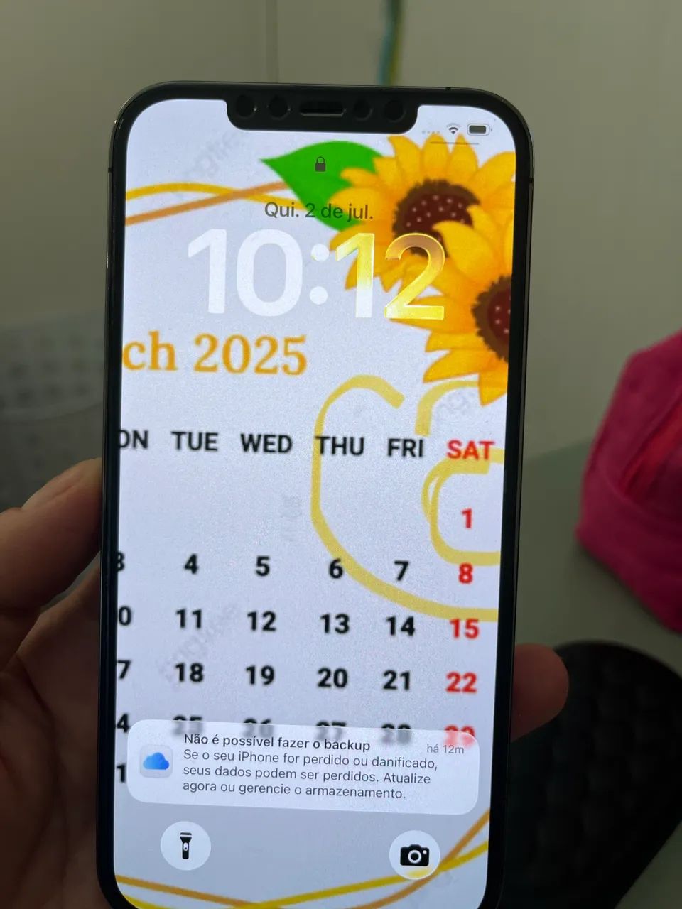 IPHONE PRO MAX 12
