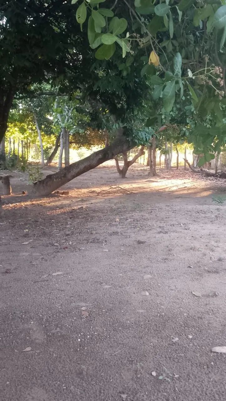 TERRENO A VENDA SOLEDADE - Foto 2