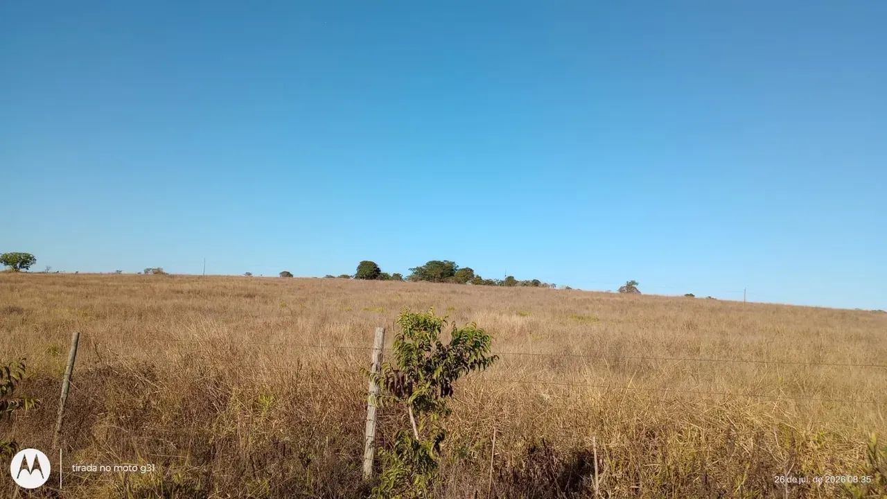 Fazenda a venda em Ipameri - Goiás!!! - Foto 2