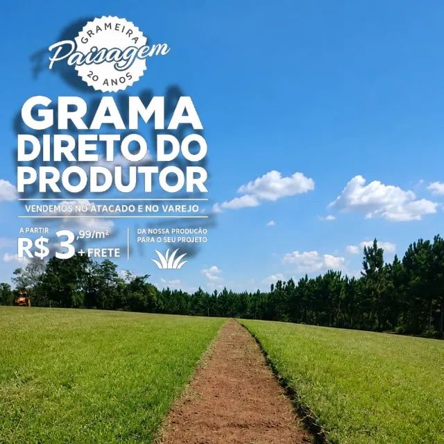 Grama Esmeralda