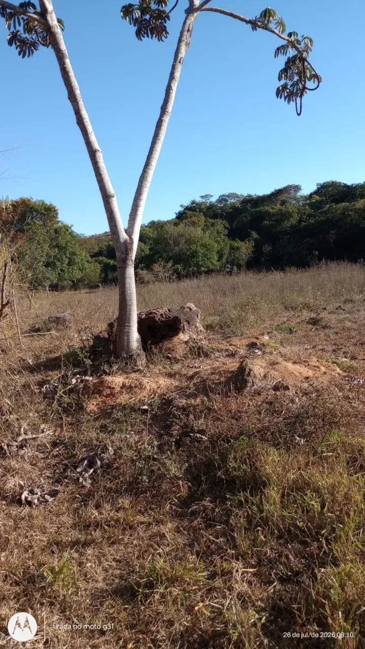 Fazenda a venda em Ipameri - Goiás!!! - Foto 5