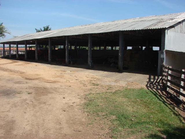 Fazenda 90 Hectares Prox. Sorocaba - Foto 14