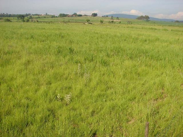 Fazenda 90 Hectares Prox. Sorocaba - Foto 15