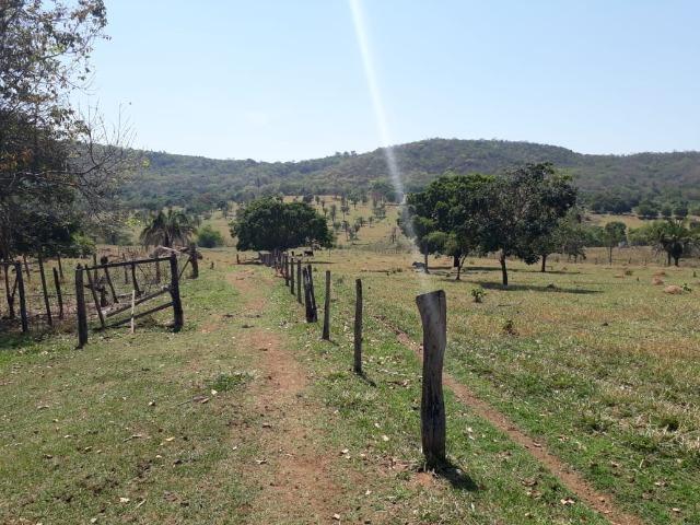 Terreno São Luis Montes Belos - Foto 3