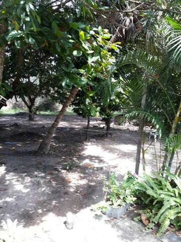 Sitio na Piçarreira - Vendo - Foto 5