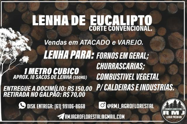 Lenha de eucalipto