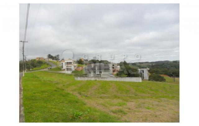 Terreno residencial à venda, vila torres i, campo largo - te0117. - Foto 9