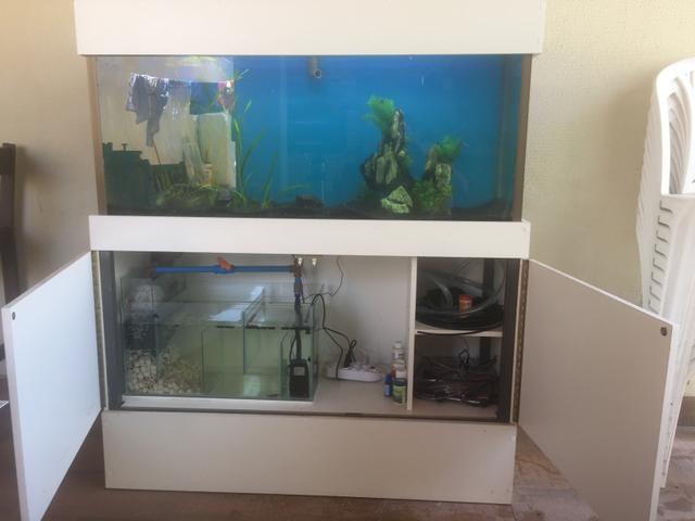 VENDO AQUARIO 240l - Foto 5