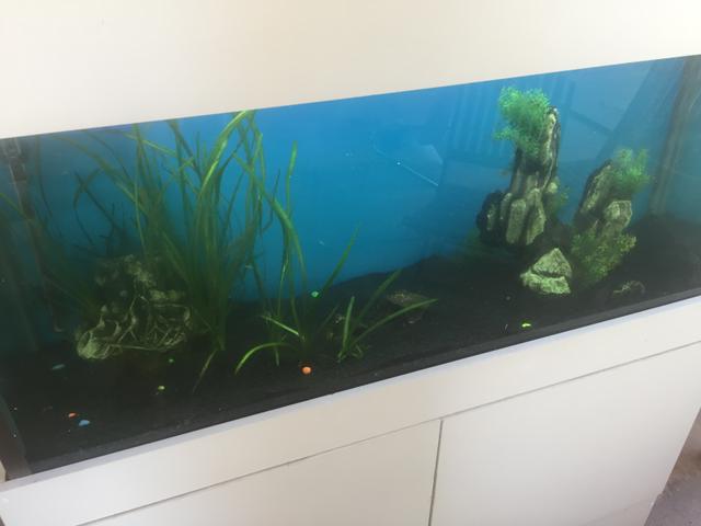 VENDO AQUARIO 240l