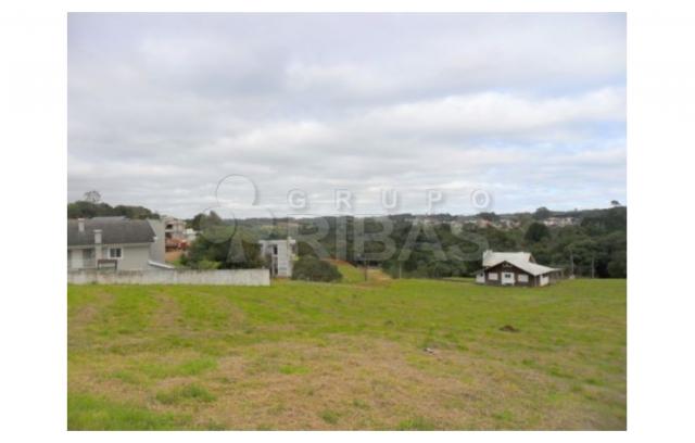 Terreno residencial à venda, vila torres i, campo largo - te0117. - Foto 11