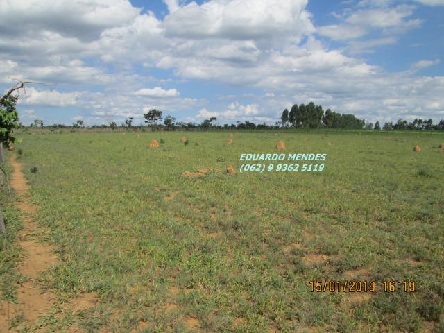 Terra c/ um alqueire sem benfeitorias, 600 metros da BR 060 Abadiânia, expansão Urbana - Foto 4