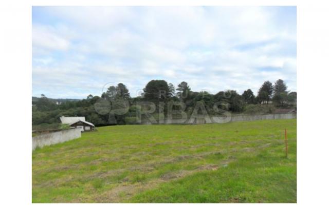 Terreno residencial à venda, vila torres i, campo largo - te0117. - Foto 7