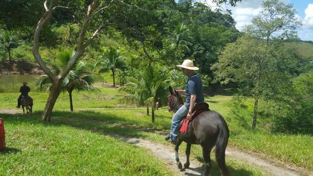 Sítio de 14 alqueires ou 68.320 hectares em Silva Jardim RJ - Foto 13