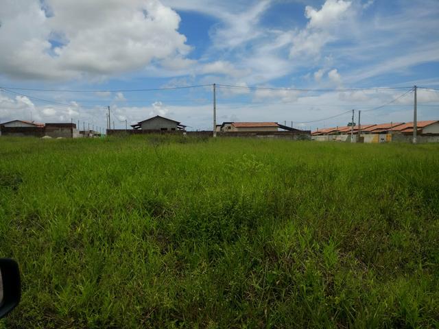 Vendo lotes comerciais no loteamento rota norte BR 406