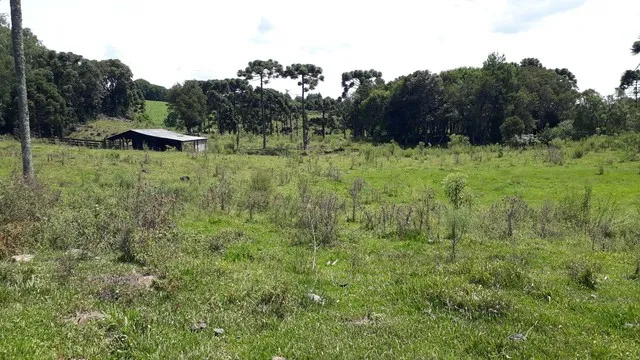 Chácara proximo à Gramado RS