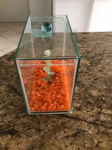 Aquario Betta completo - Foto 2