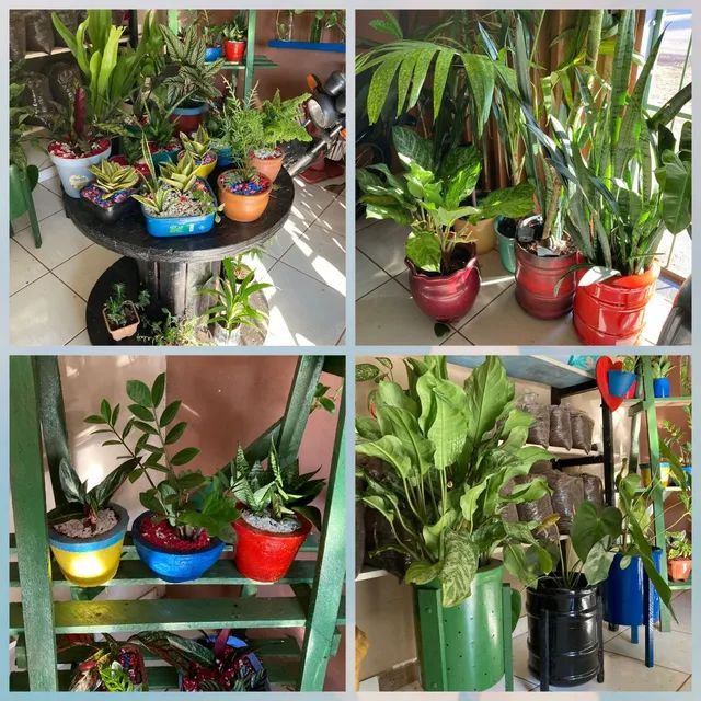 Plantas vasos e supostes p/ plantas.Todos disponíveis. 