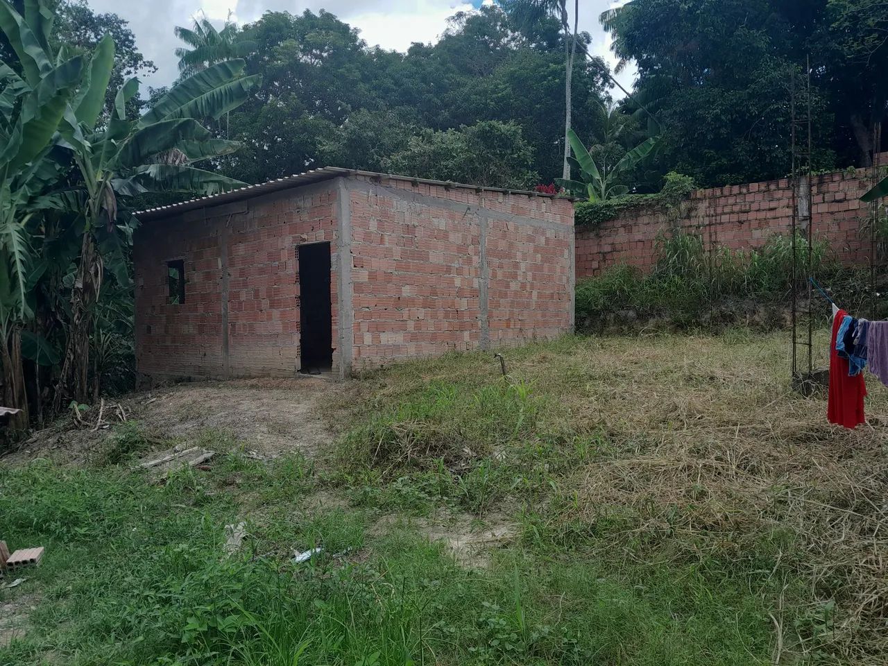 foto - Manaus - Colônia Terra Nova