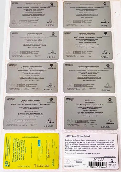 Kit Com 10 Cartões Telefônicos Beija-Flor e Flores  - Foto 2