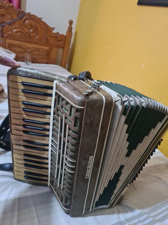 Sanfona todeschini 48 baixos