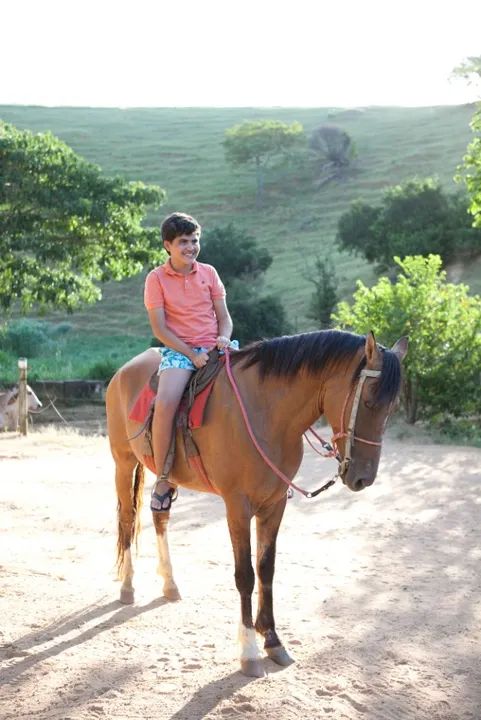 Vendo cavalo de campo - Guarapari, ES - Foto 2