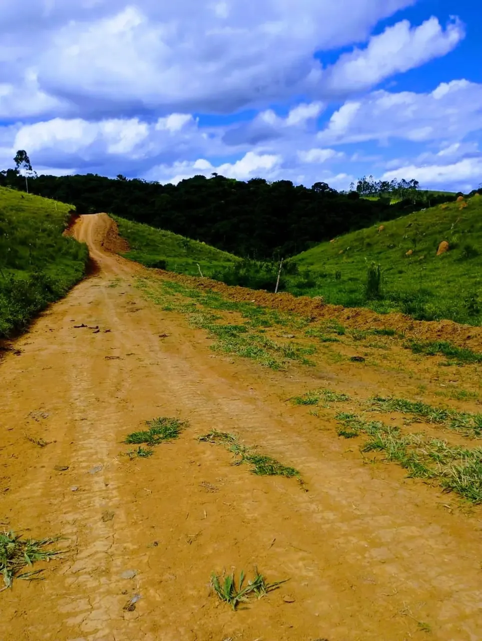 Imóvel para venda tem 600 metros quadrados em Loteamento Villa Branca - Jacareí - SP