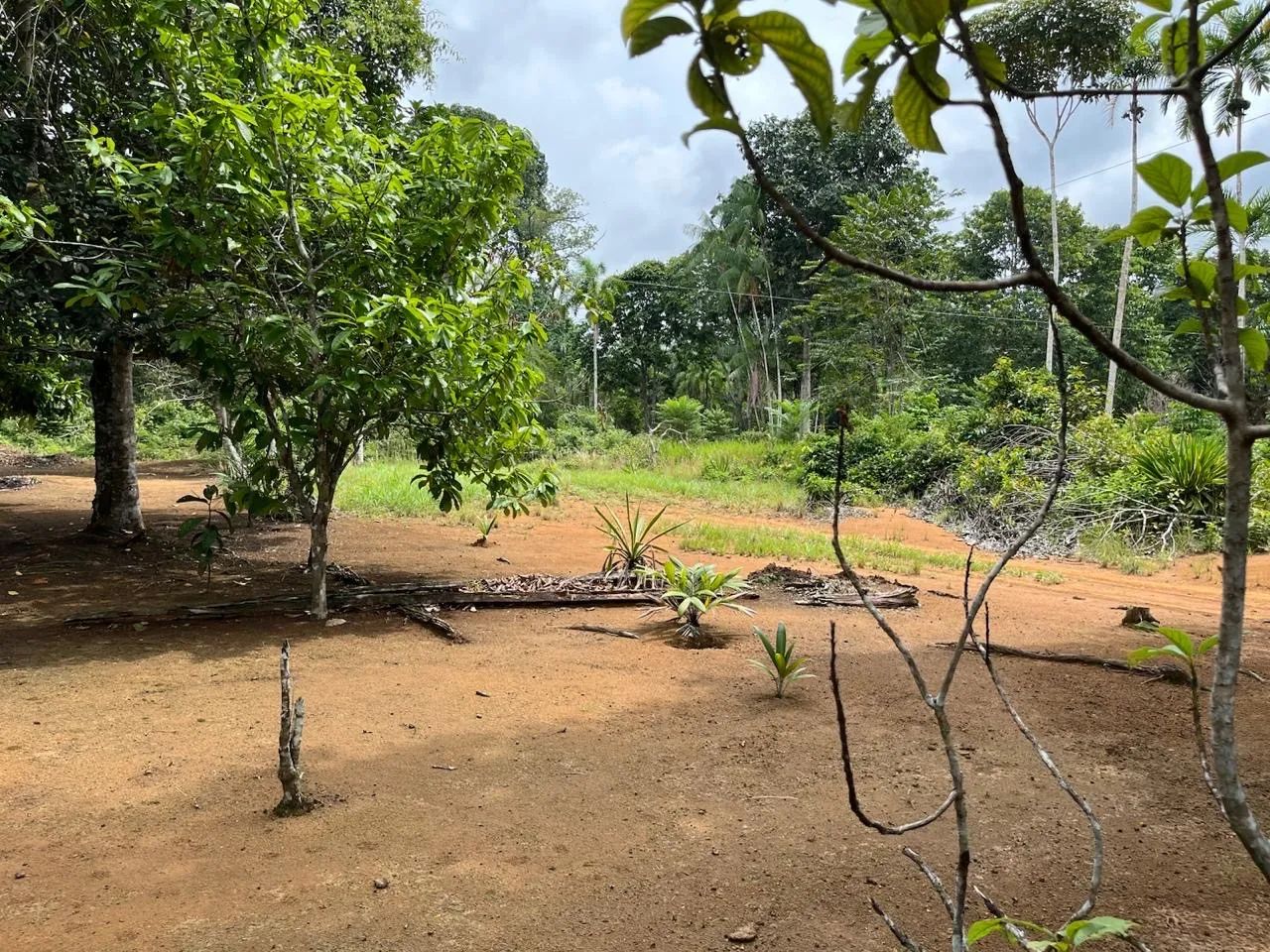 Vendo/Troco sítio no purupuru com 2 casas de madeira e garapé no quintal  - Foto 3