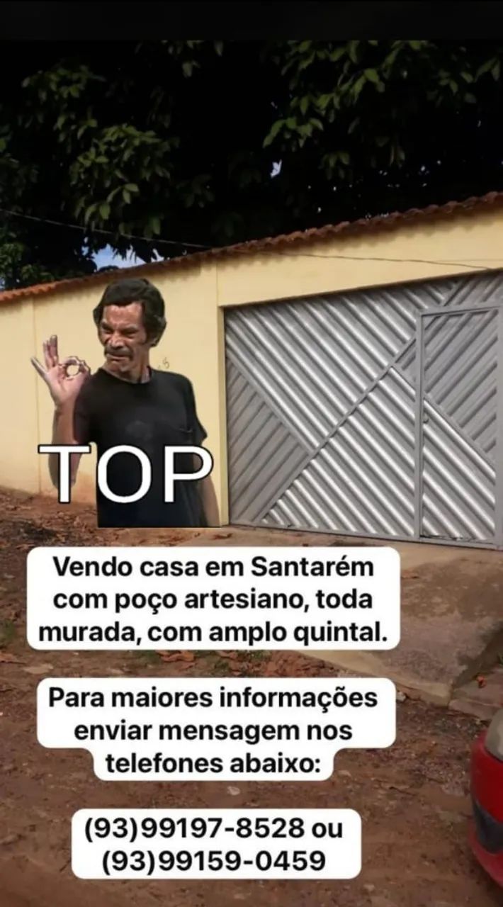 Foto - Santarém - Floresta