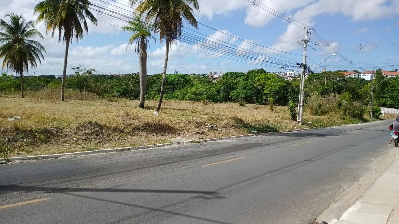 Terreno comercial Geisel  - Foto 4
