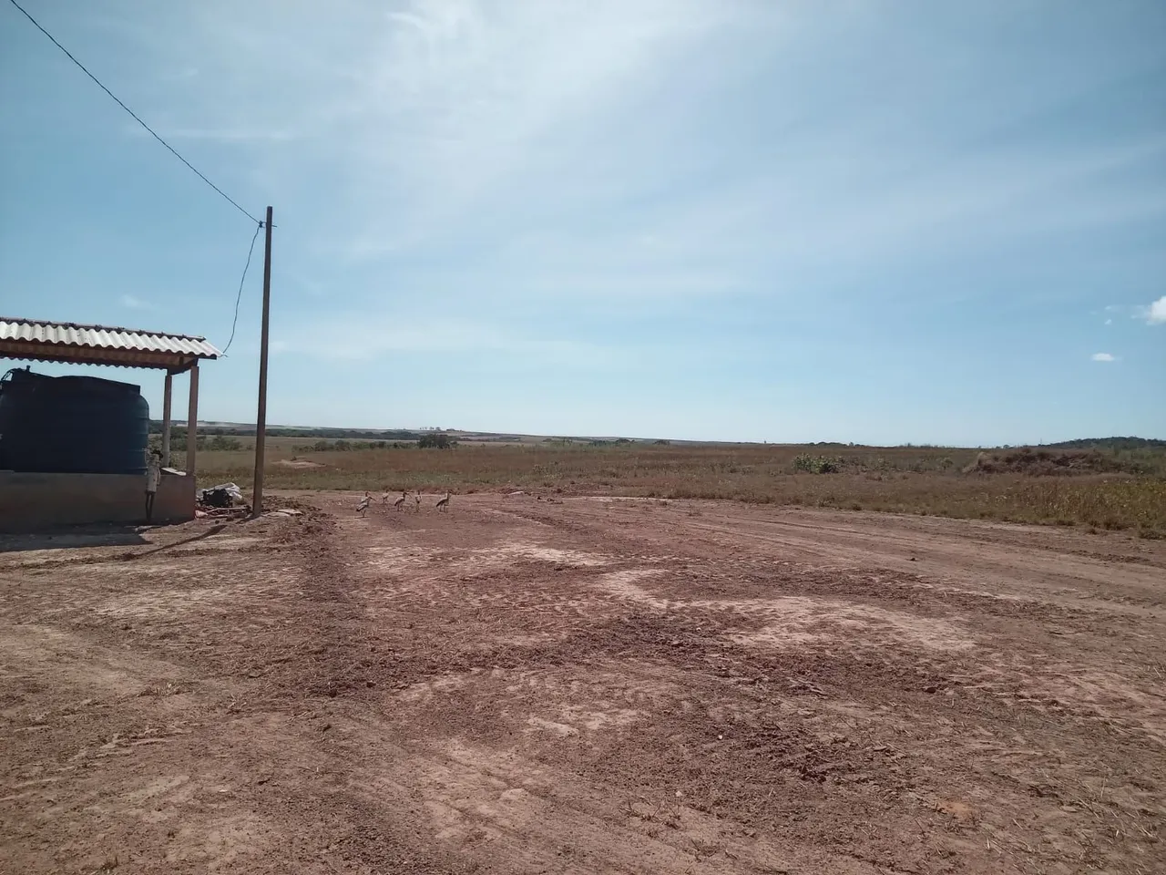 Fazenda de arrendamento 710 hec em Paranatinga MT.