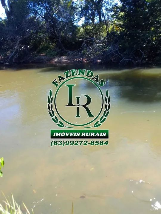 Fazenda 488 Alqueires Tocantins Bruta  - Foto 4