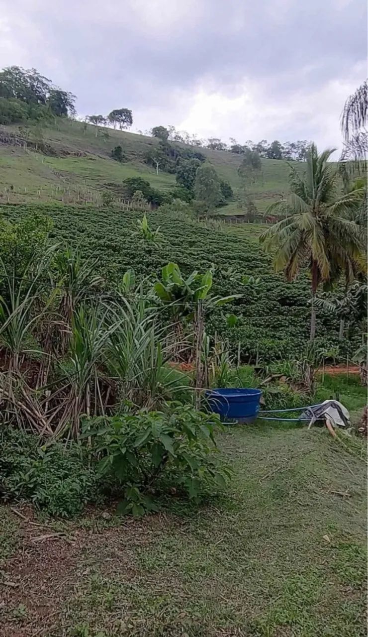 Vendo Ótima Chácara em Muribeca - Foto 3