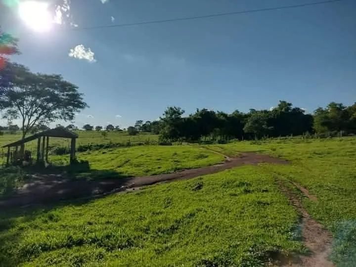 Vendo chácara de 7,5 alqueires a 17 km de Ituiutaba - Foto 9